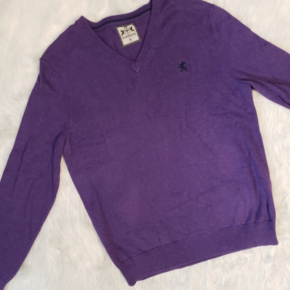 Express Mens V-Neck Purple Long Sleeve Sweater - Picture 1 of 11